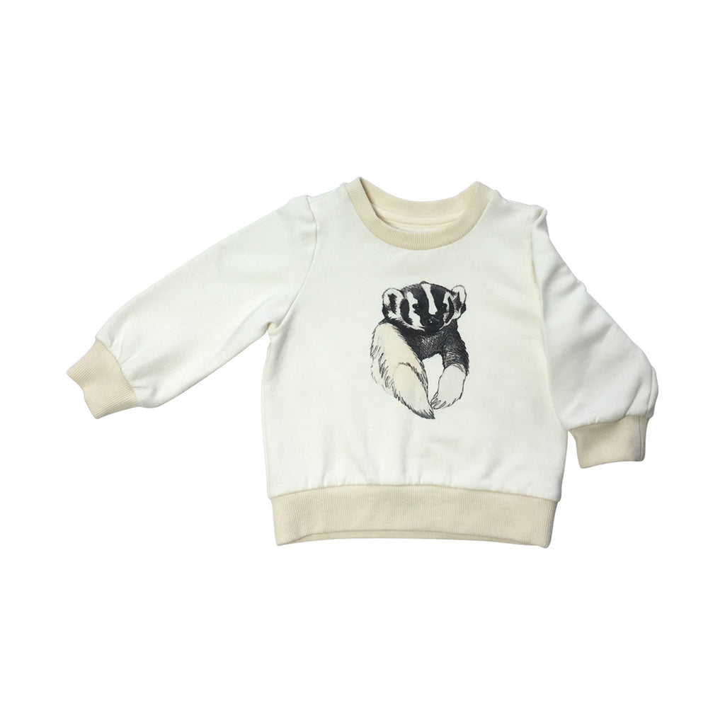 Badger sweatshirt (size 12-18M)