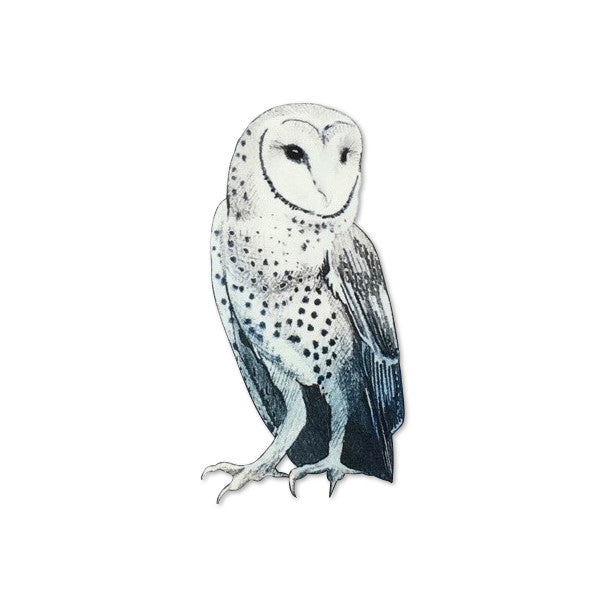 Owl sweatshirt (size 6-7Y)