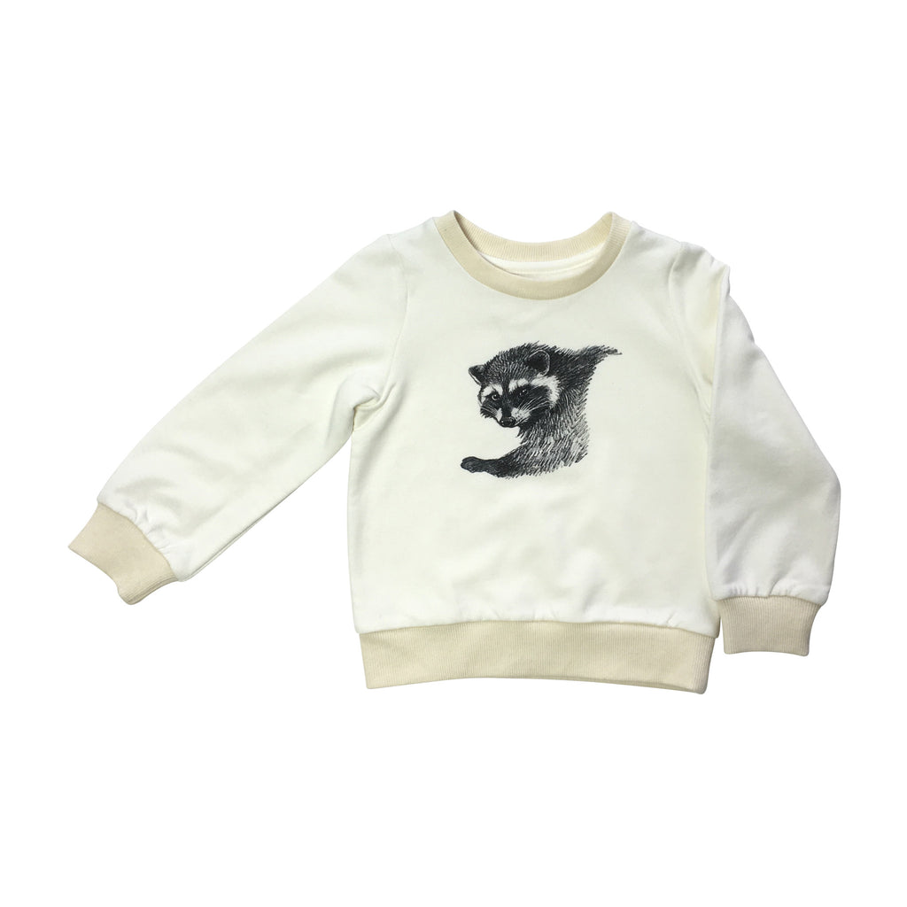 Raccoon sweatshirt (size 2-3Y)