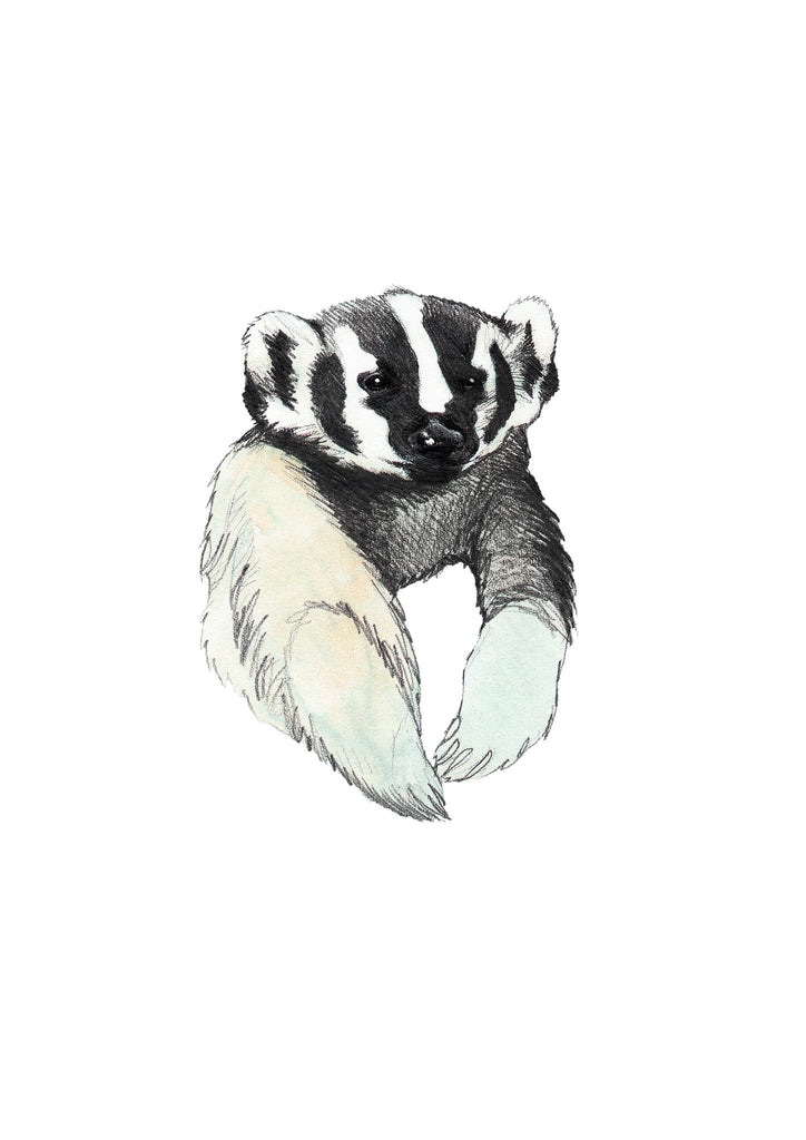 Badger sweatshirt (size 12-18M)