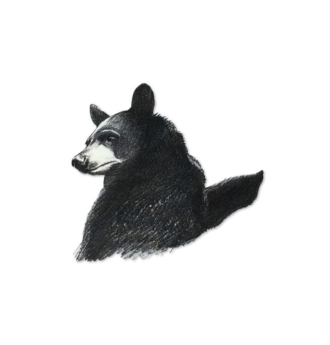 Bear sweatshirt (size 4-5Y)