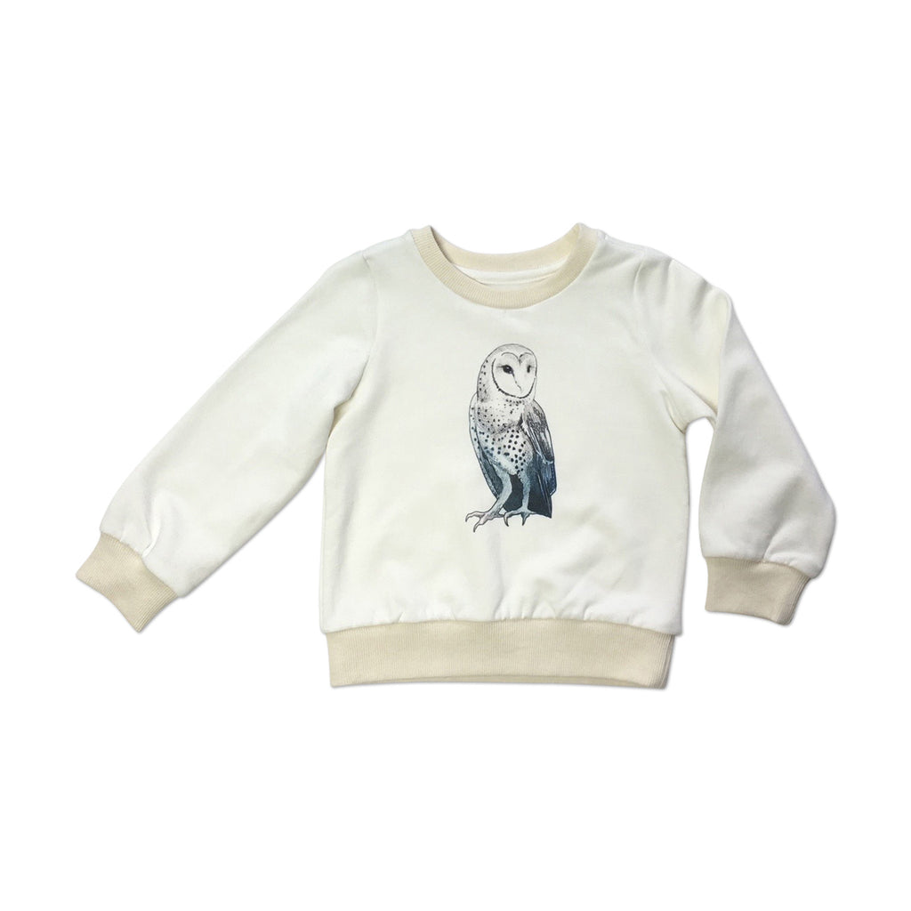 Owl sweatshirt (size 6-7Y)