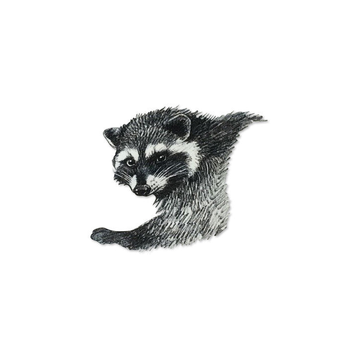 Raccoon sweatshirt (size 2-3Y)